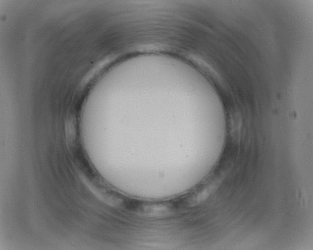 X0000079320208200612081942