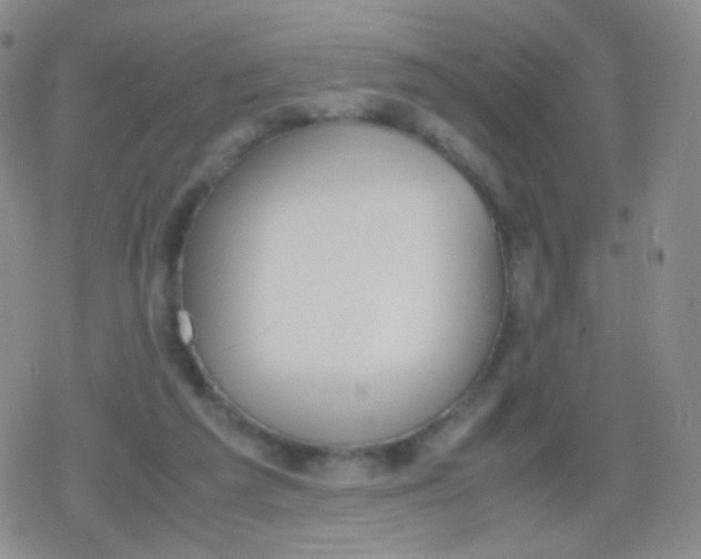 X0000079320209200612081942