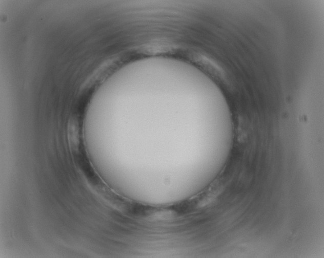 X0000079320210200612081942