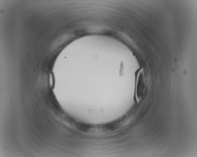 X0000079320211200612081942