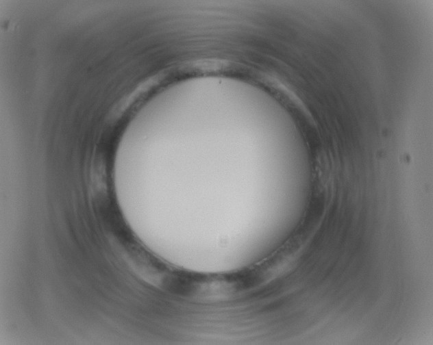 X0000079320212200612081942