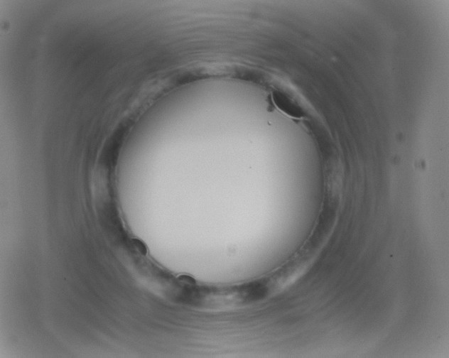 X0000079320213200612081942