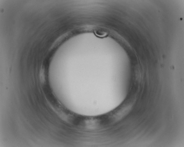 X0000079320216200612081942