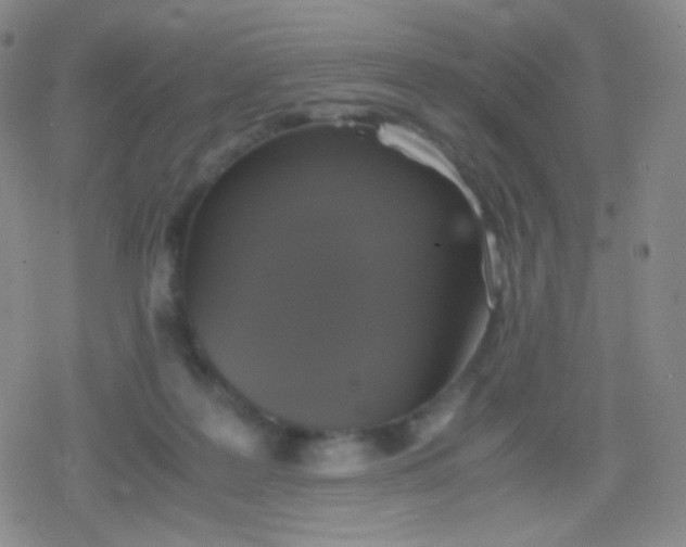 X0000079320219200612081942