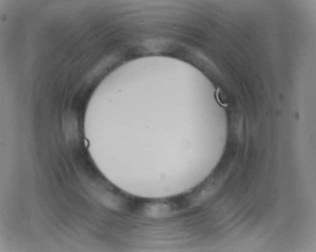 X0000079320220200612081942