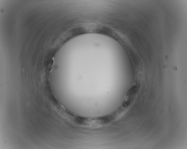 X0000079320221200612081942