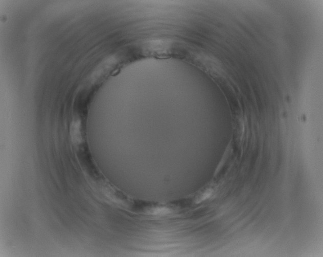 X0000079320224200612081942