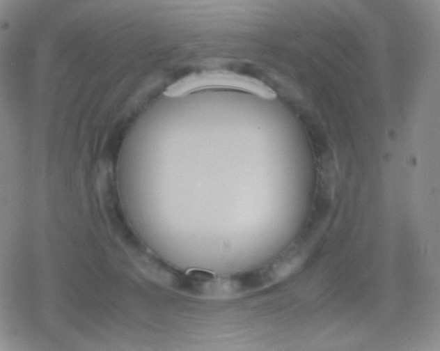 X0000079320225200612081942