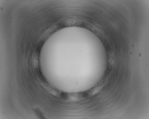 X0000079320226200612081942