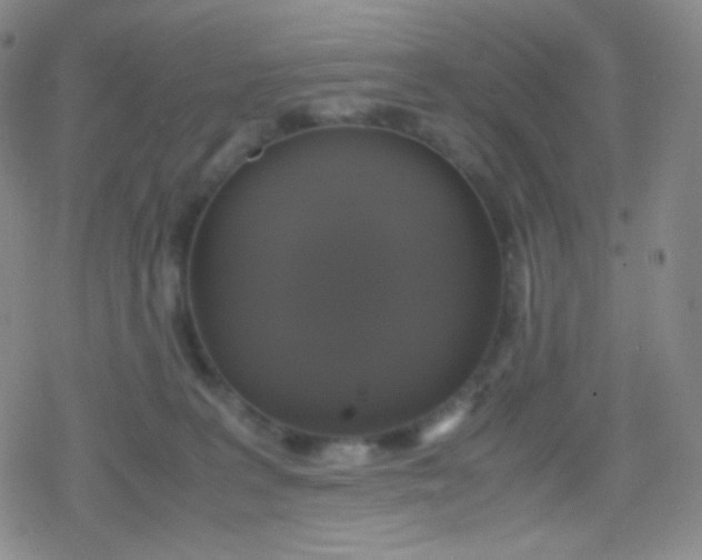 X0000079320227200612081942