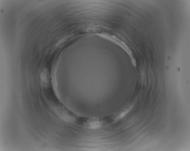 X0000079320228200612081942