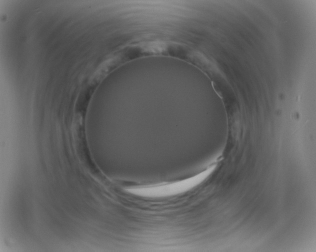 X0000079320229200612081942