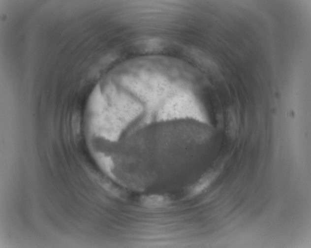 X0000079320230200612081942