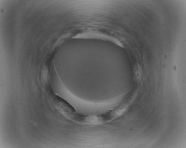 X0000079320231200612081942