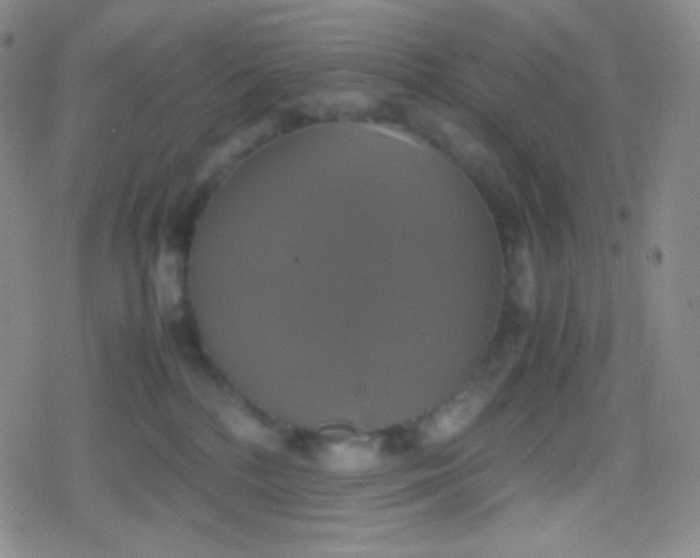 X0000079320232200612081942