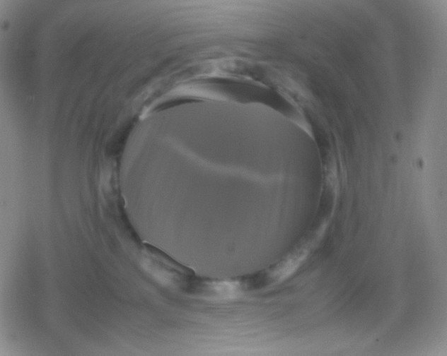 X0000079320233200612081942