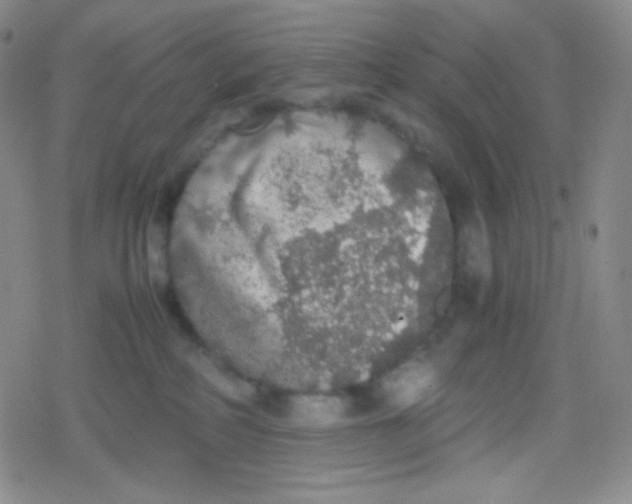 X0000079320234200612081942