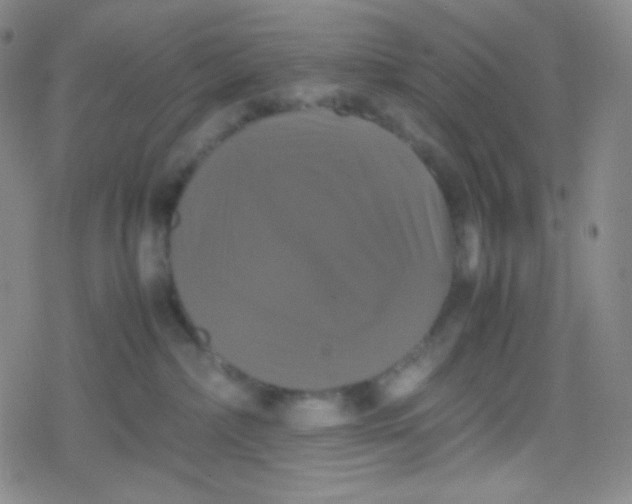 X0000079320236200612081942