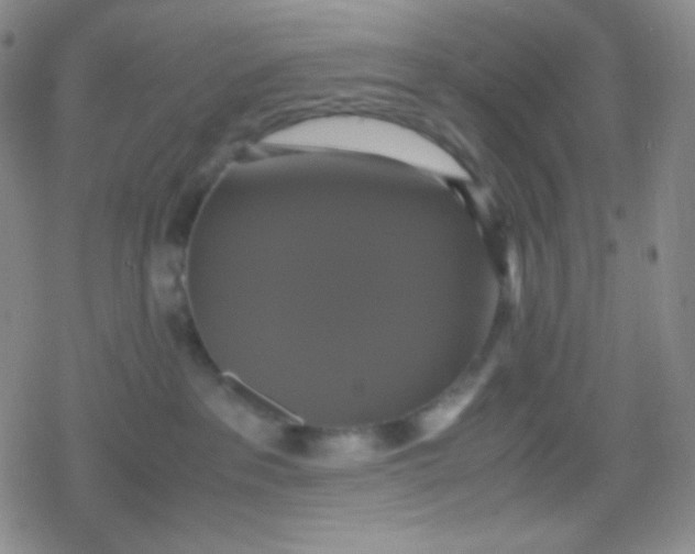 X0000079320237200612081942