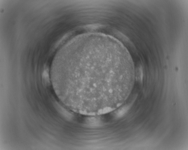 X0000079320238200612081942