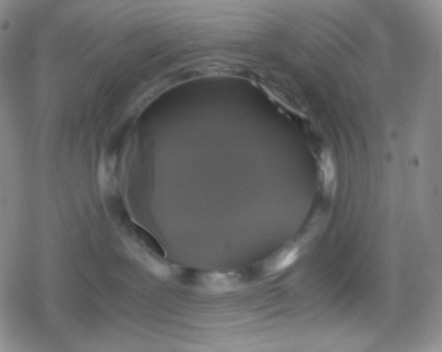 X0000079320239200612081942