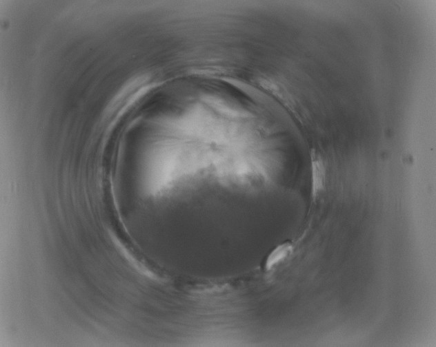 X0000079320243200612081941