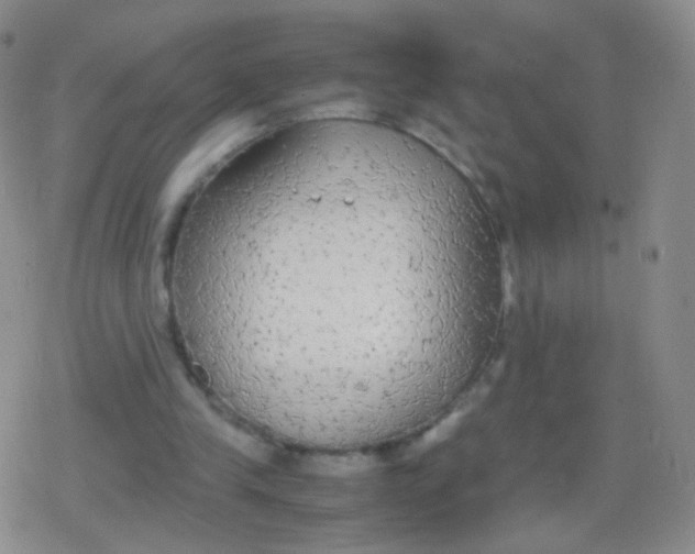 X0000079320245200612081941