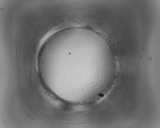 X0000079320246200612081941