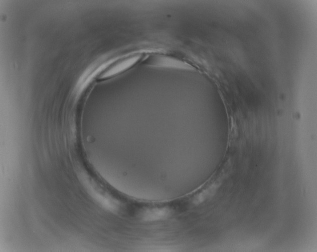 X0000079320247200612081941