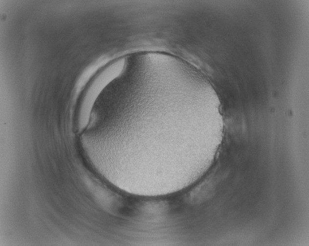 X0000079320248200612081941