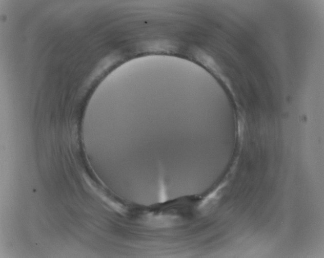 X0000079320249200612081941