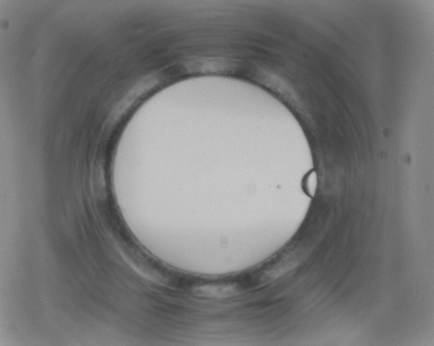 X0000079320251200612081941