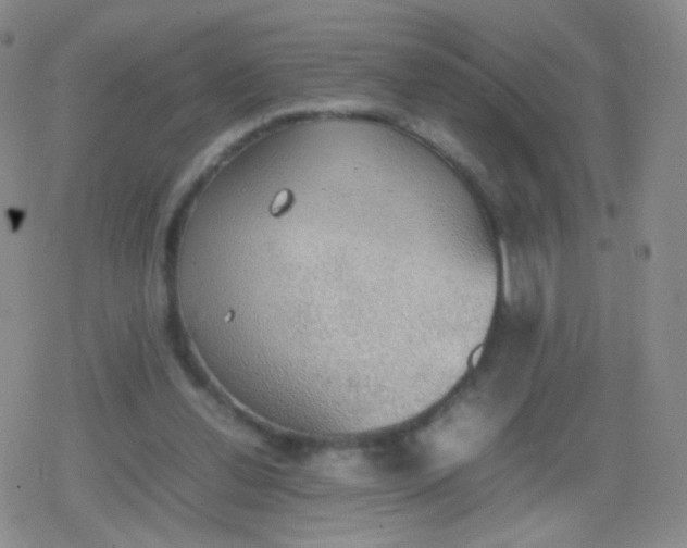 X0000079320252200612081941