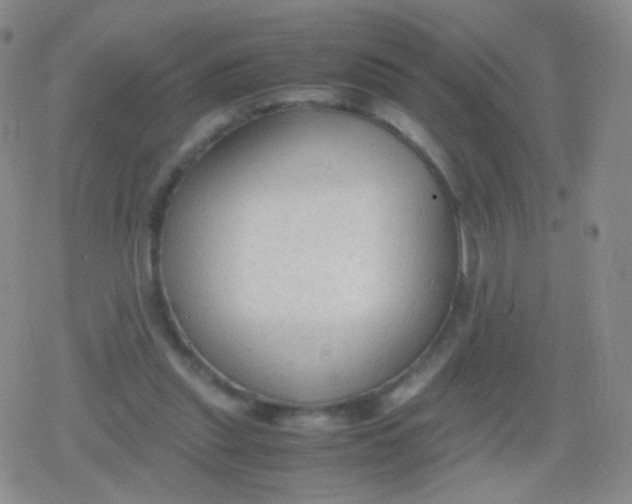 X0000079320253200612081941