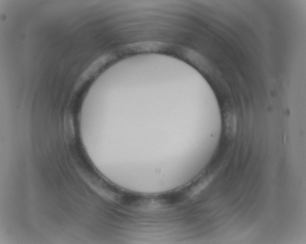 X0000079320254200612081941