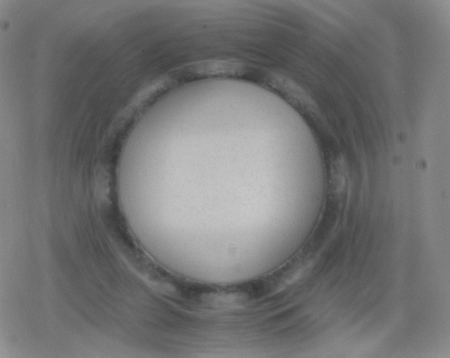 X0000079320255200612081941