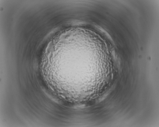 X0000079320257200612081941