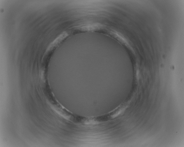 X0000079320258200612081941