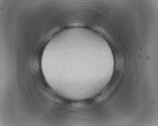 X0000079320259200612081941