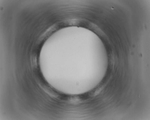 X0000079320262200612081941