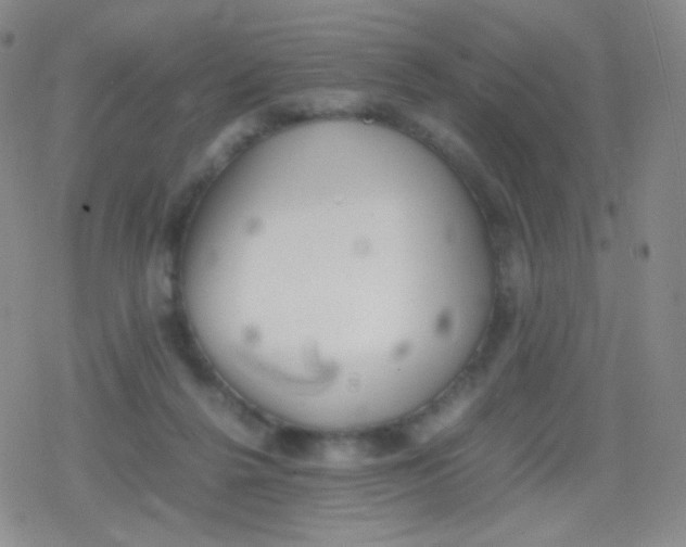 X0000079320264200612081941