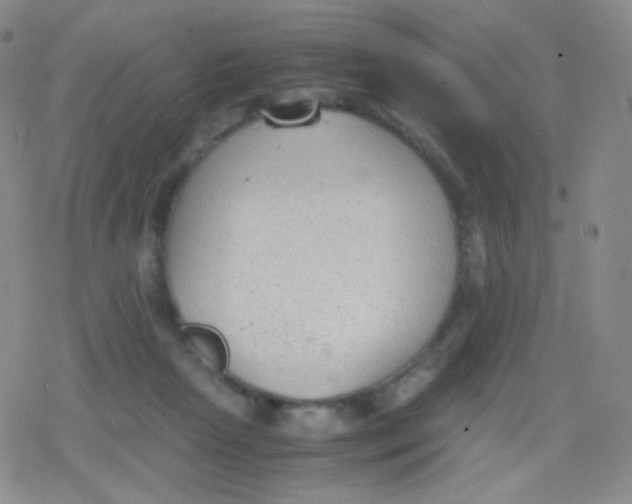 X0000079320265200612081941