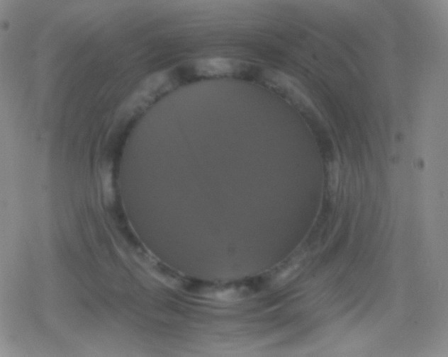 X0000079320267200612081941