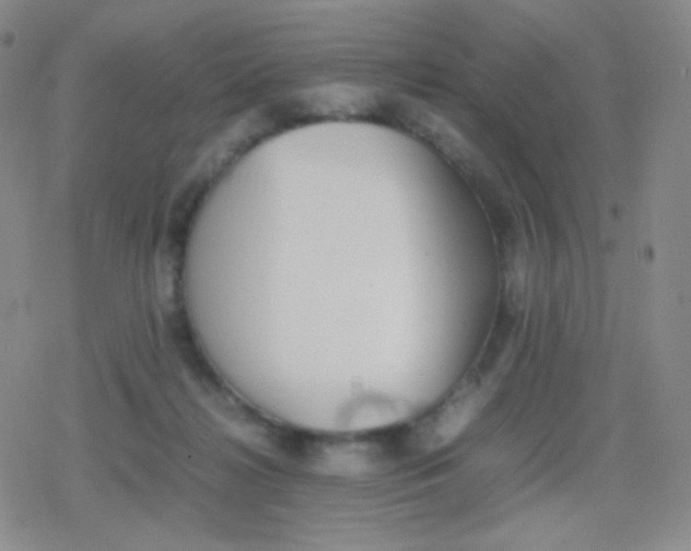 X0000079320268200612081941