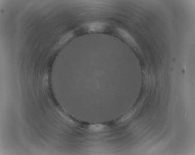 X0000079320269200612081941