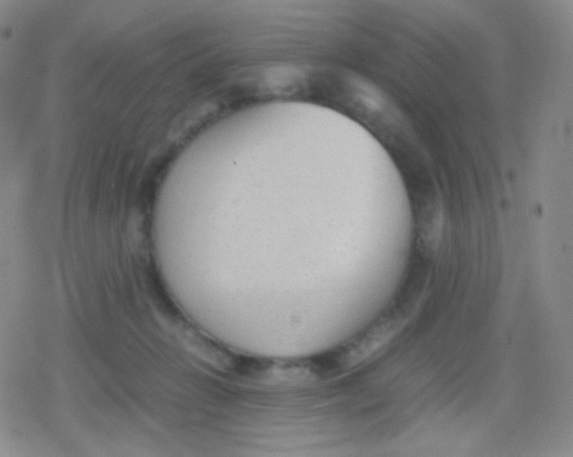 X0000079320270200612081941