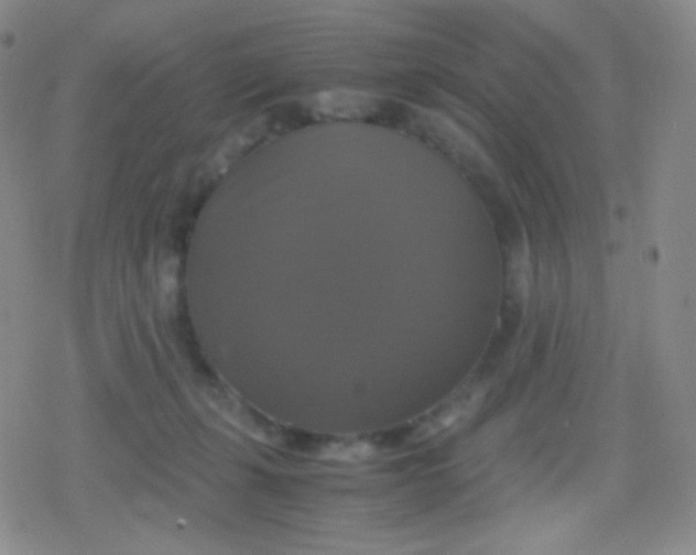 X0000079320271200612081941