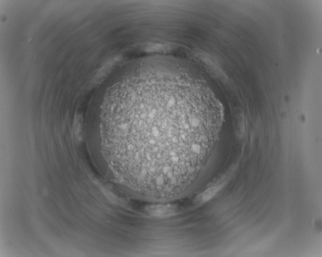 X0000079320273200612081942