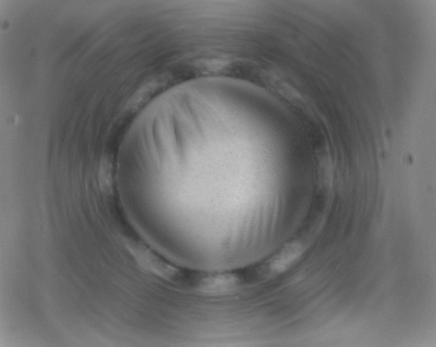 X0000079320274200612081942