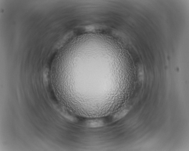 X0000079320275200612081942